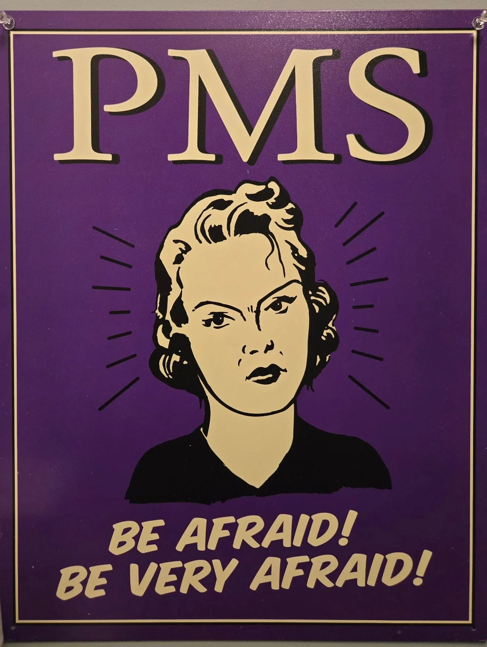 PMS Retro Metal Sign - Picture 1 of 2